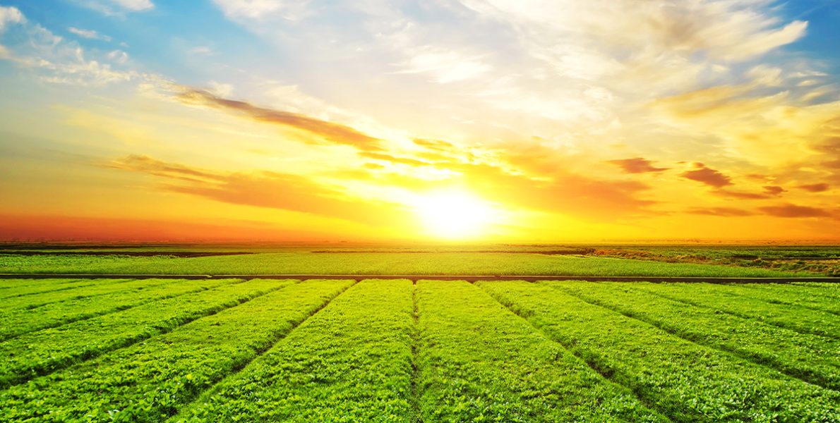agri1